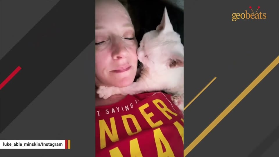 Video frame for Welcoming A Tiny Fighter Home