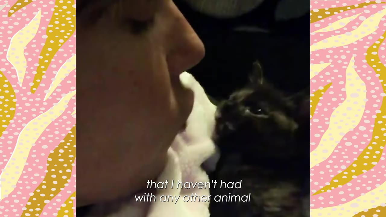 A close-up profile of a person gently leaning their face against a small, dark-furred cat wrapped in a white blanket.