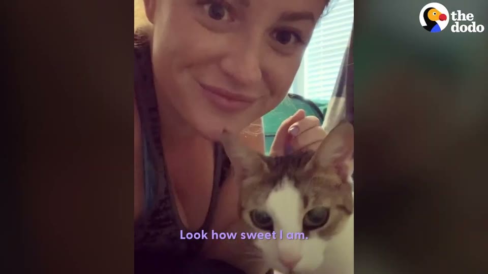 Video frame for A Christmas Morning Surprise