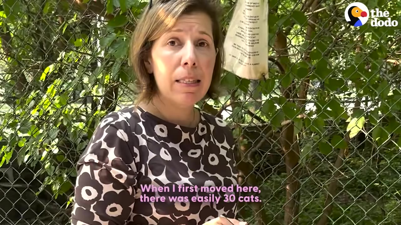 A woman named Liz stands in front of a chain-link fence with green foliage behind it, speaking to the camera with a caption that reads, 'When I first moved here, there was easily 30 cats.'