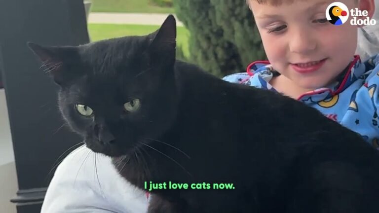 Alabama Woman Meows At Stray Black Cat On Her Driveway And Is Left Speechless By His Next Move