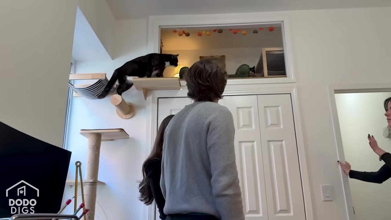 A man and woman look up at a black and white cat climbing on wall-mounted shelves towards an open storage cubby above a closet door.