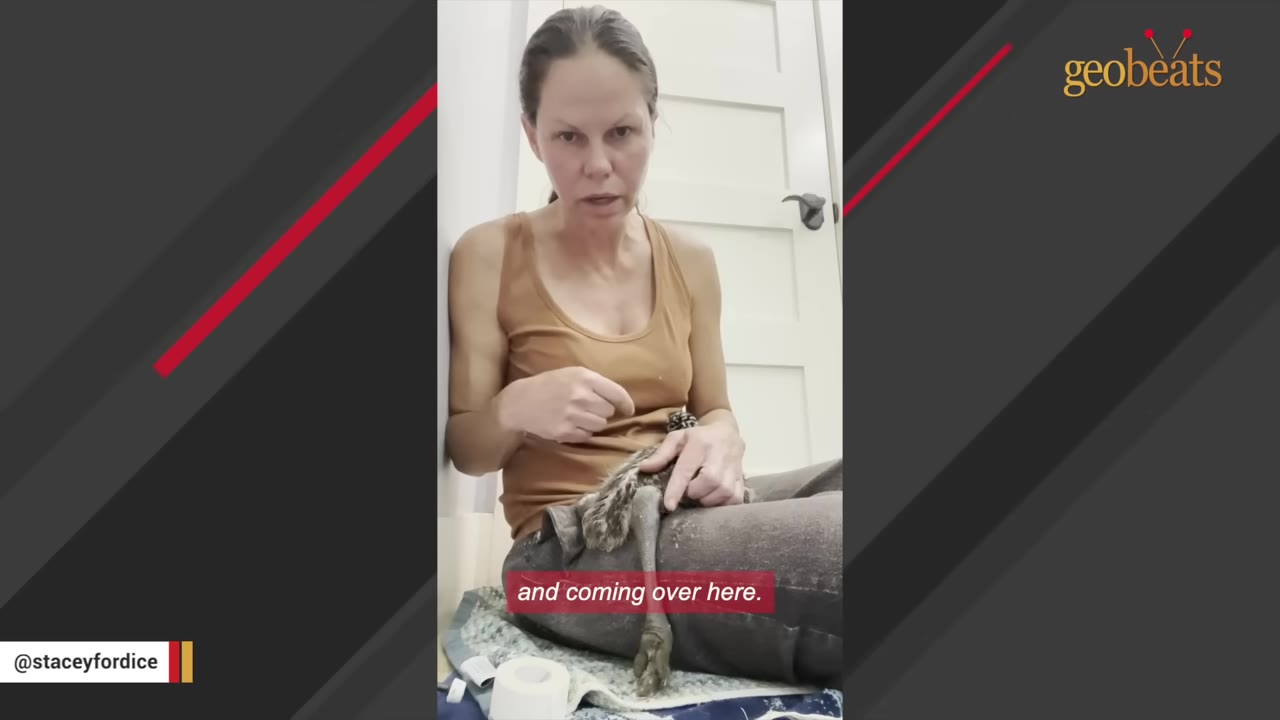 A woman sits on a bathroom floor holding a young emu on her lap, examining its leg.