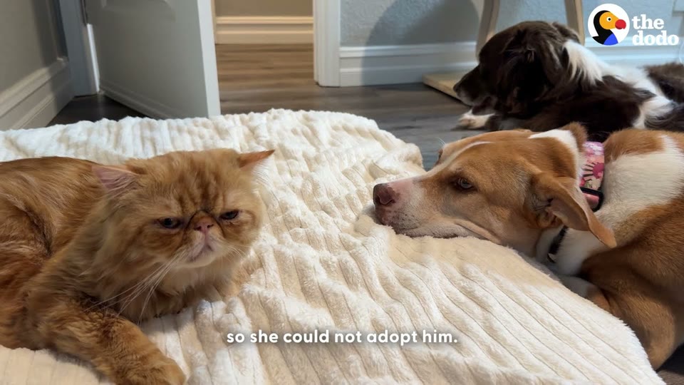 Video frame for A Much-Needed Spa Day