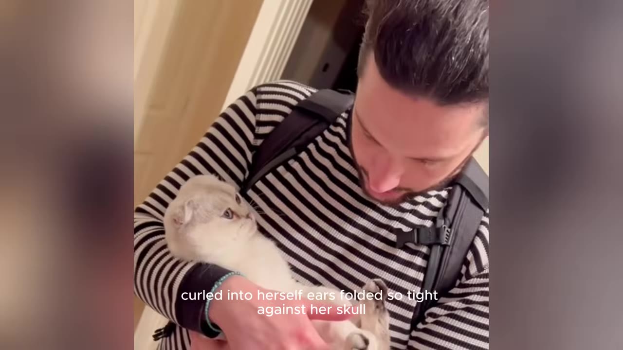 A man in a striped shirt holds a small white cat with folded ears close to his chest as she looks up at him.