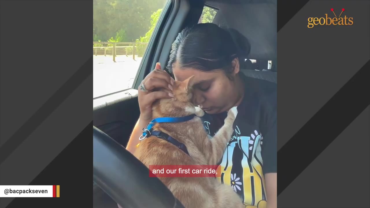A woman holds an orange kitten close to her face while sitting in the passenger seat of a car.