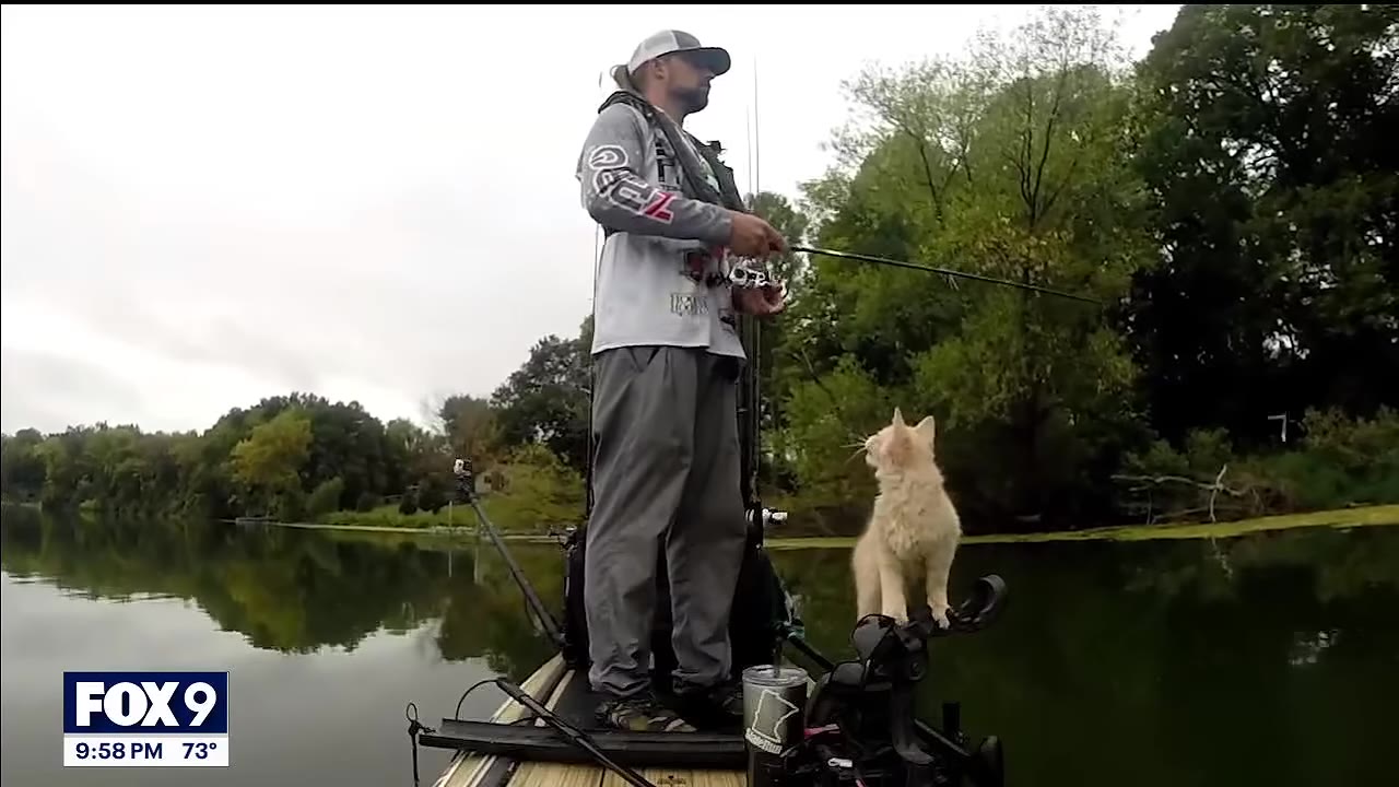 A small light-orange kitten stands confidently on the bow of a boat, looking up at a man who is fishing.