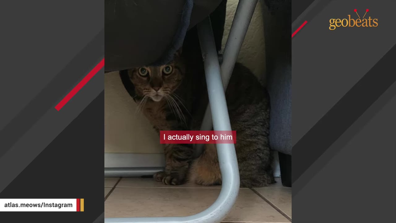 A brown tabby cat named Atlas hiding under a chair, looking out with wide eyes, with the text 'I actually sing to him' overlaid.