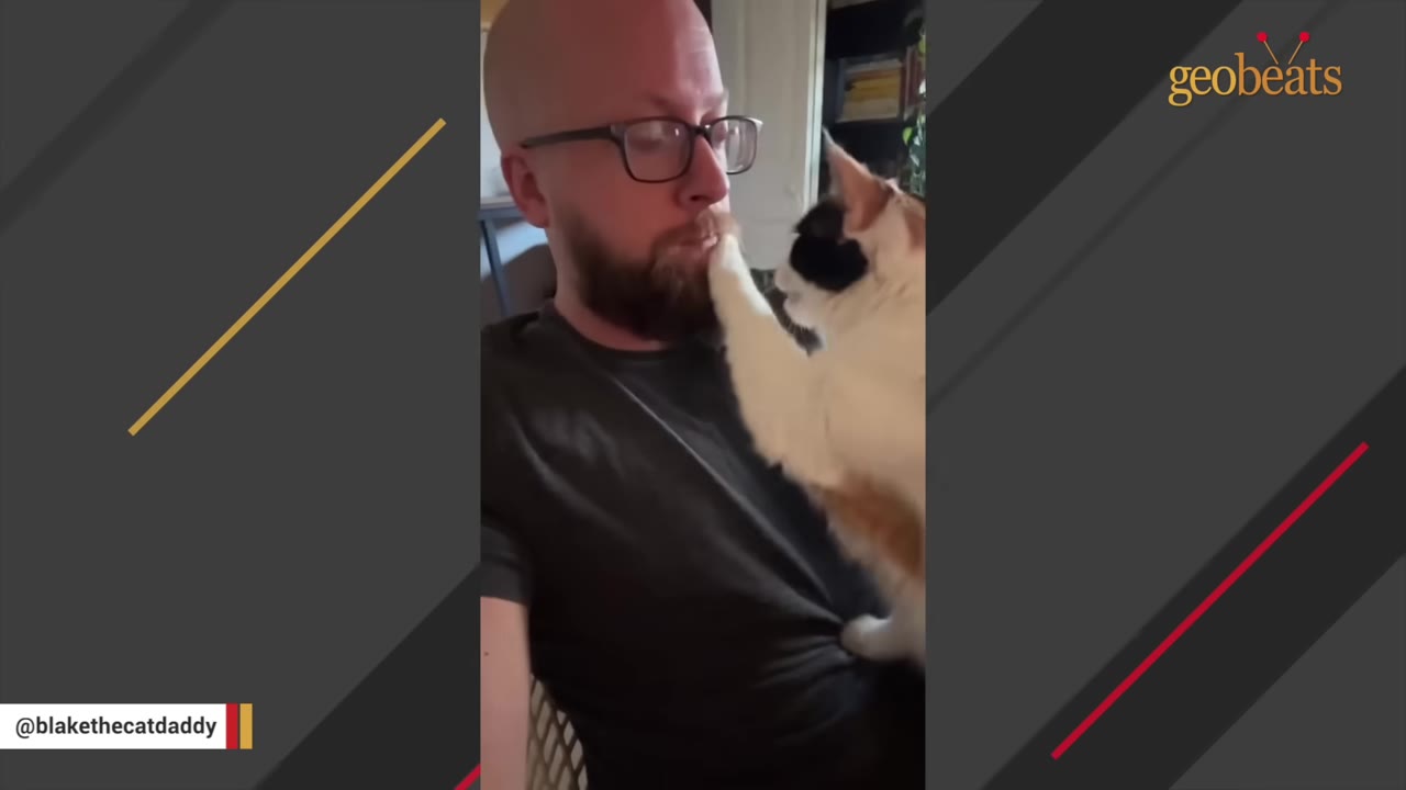 A calico cat reaches its white paw up to gently touch the lips of a bearded man wearing glasses, as if shushing him.