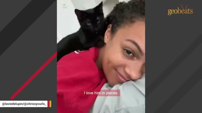 Texas Kitten Wore A Giant Cone And Screamed Until A Man Who Never Owned Cats Made A Surprising Choice