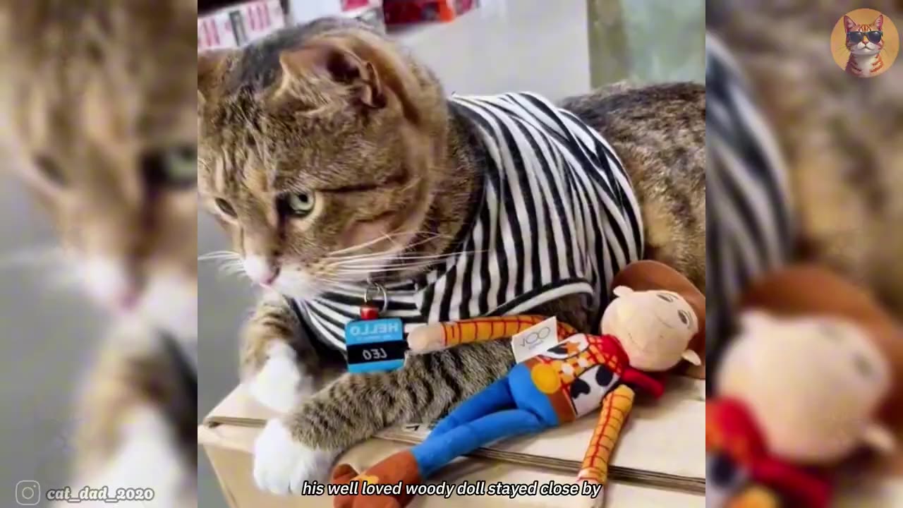 A tabby cat named Leo wearing a striped shirt and a Home Depot name tag sits next to a Woody doll.