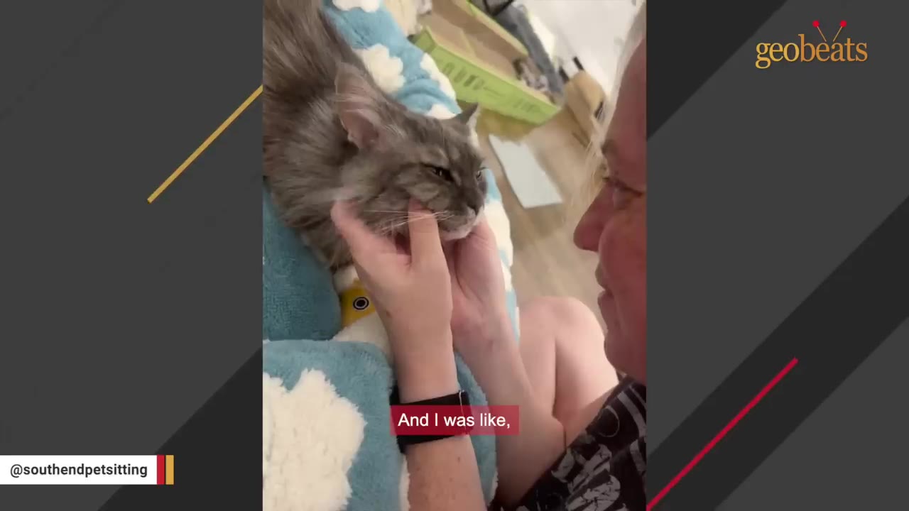 A woman gently cradles the face of a fluffy grey cat in her hands as they look at each other.