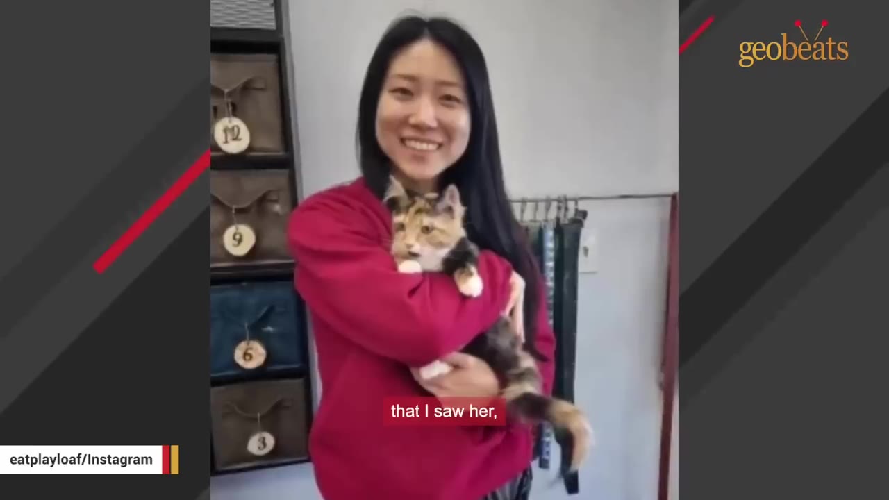 A smiling woman in a red sweatshirt holds a calico kitten in her arms inside a pet grooming shop.