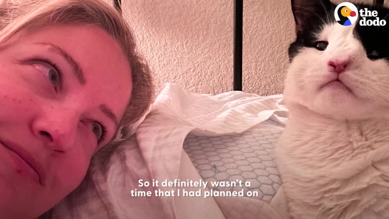 A close-up of a woman lying down next to a black and white cat looking directly at the camera.