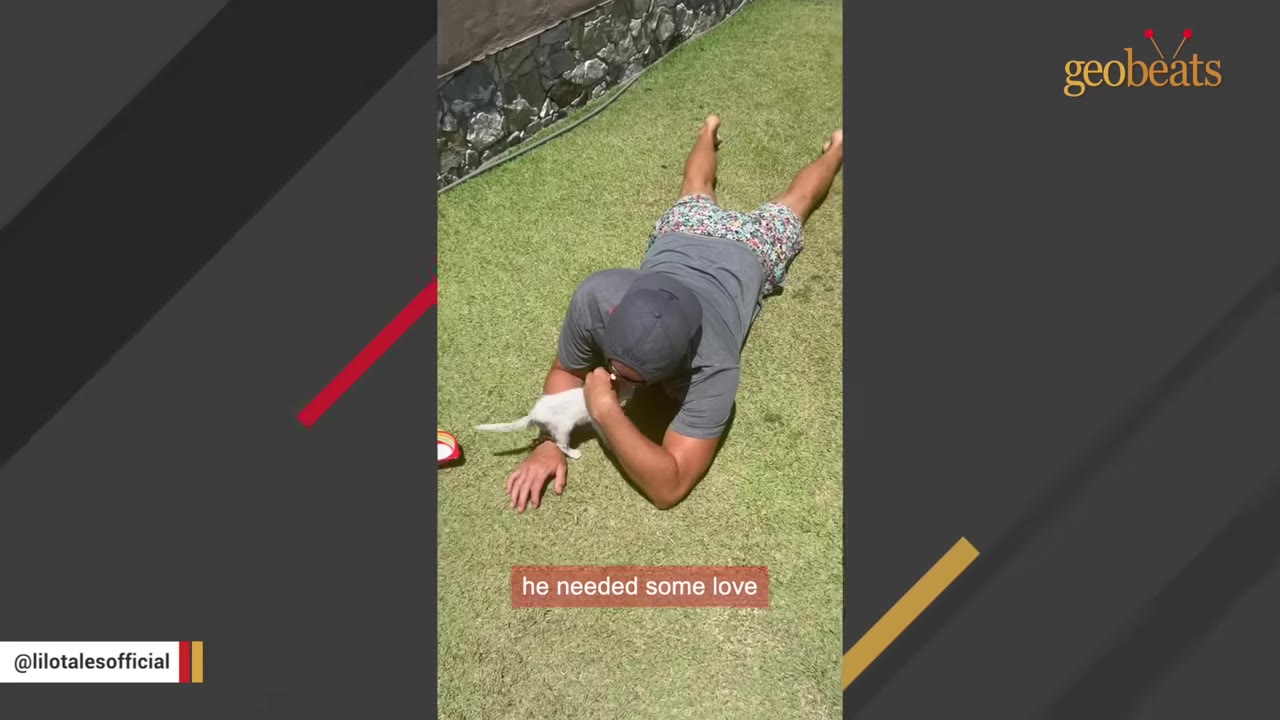 A man lying on his stomach on a green lawn, gently cuddling a small white kitten.
