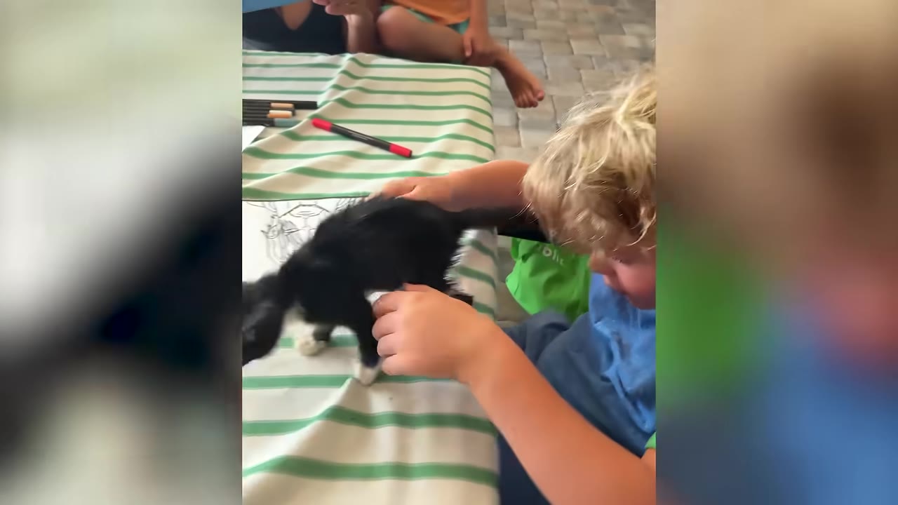 A young child with blonde hair gently holds a small black and white kitten on a green and white striped table indoors.