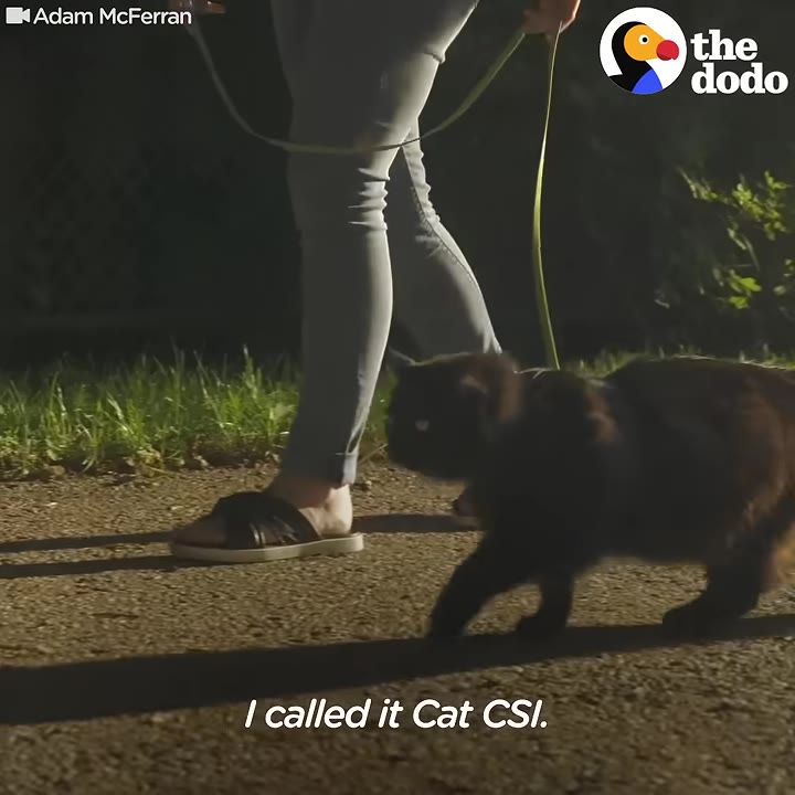 A black cat on a leash being walked at night on a paved path next to a person in light-colored pants and sandals.