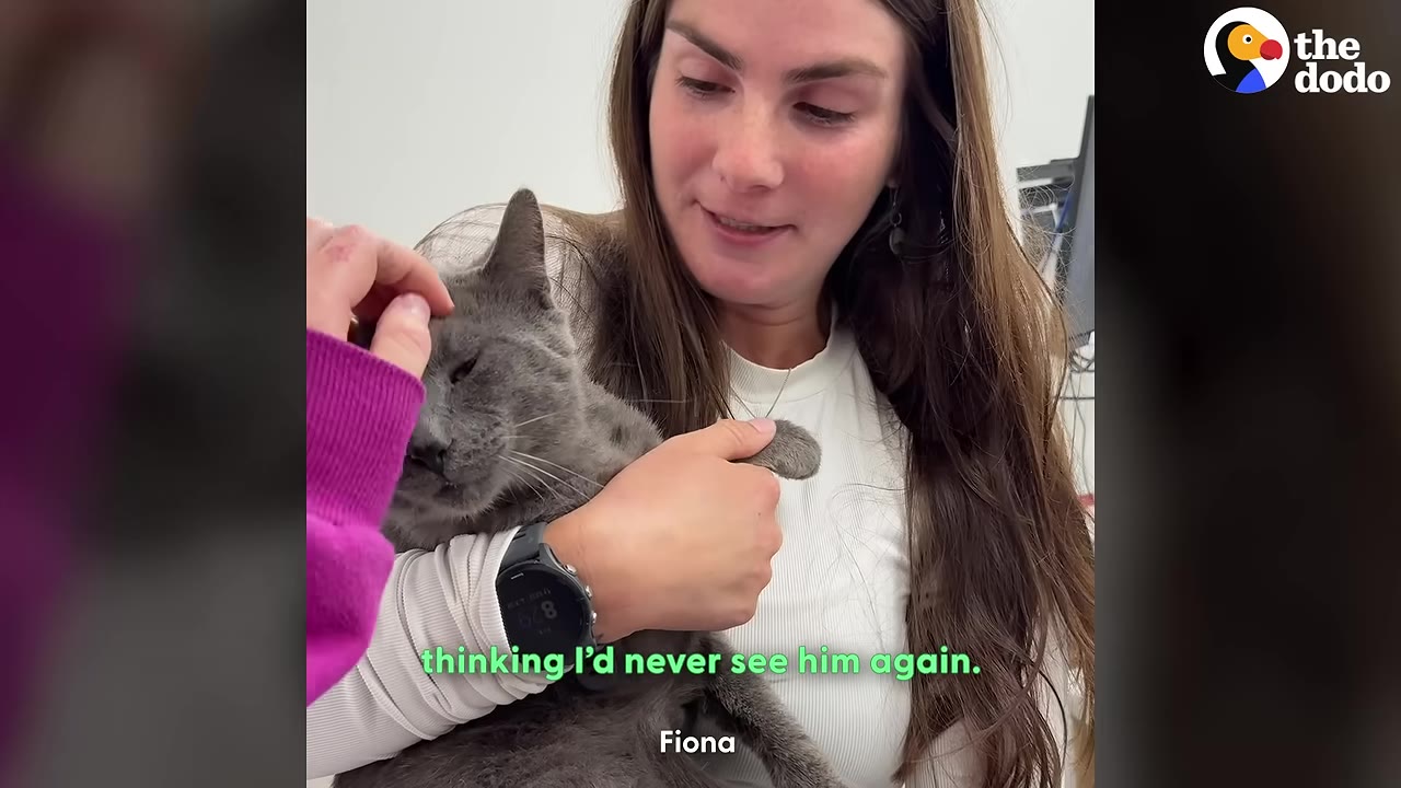 A woman with long brown hair holds a grey cat close to her chest while looking down at it with an emotional expression, as another hand gently pets the cat's head.