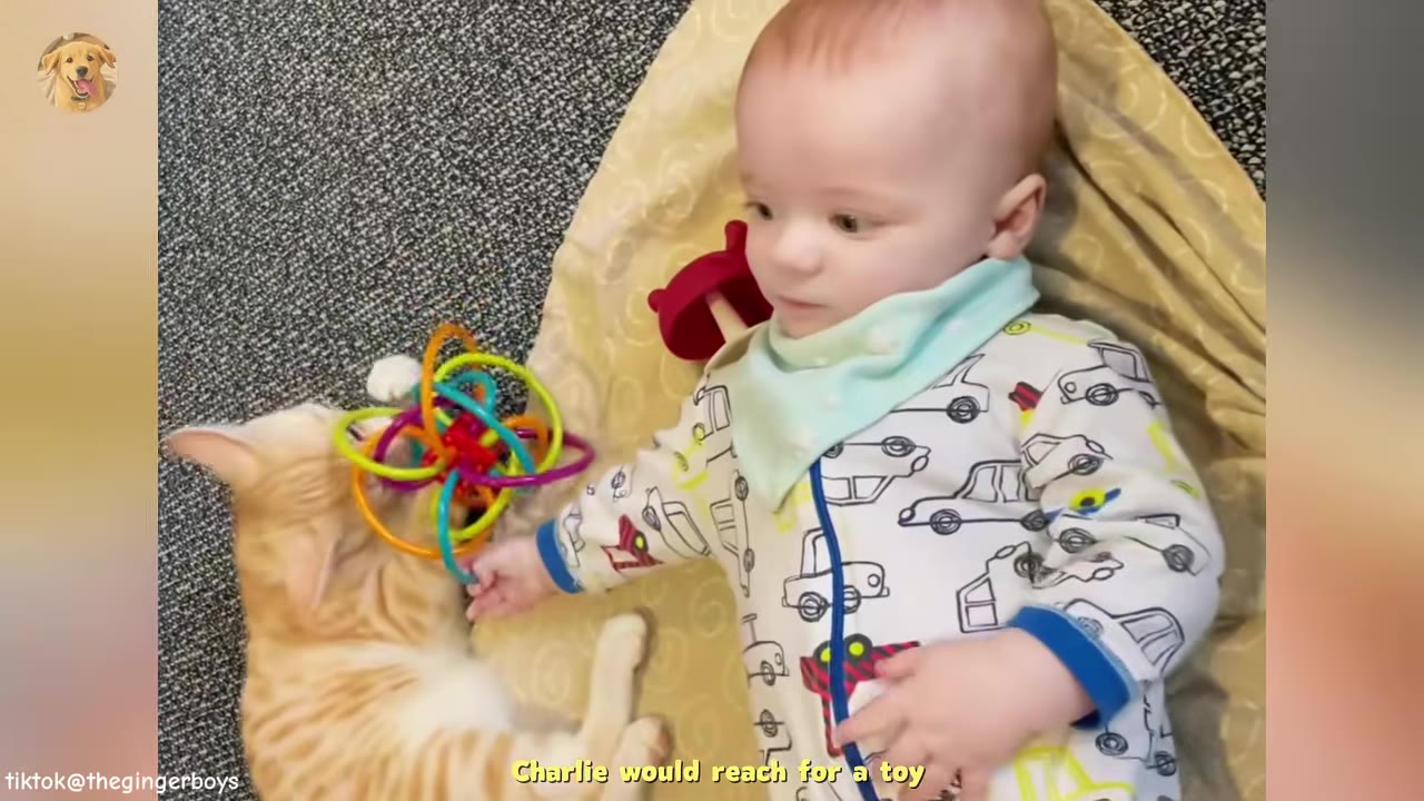 An orange tabby cat and a baby in car-patterned pajamas lie on a blanket, both reaching for a colorful, multi-looped plastic toy.