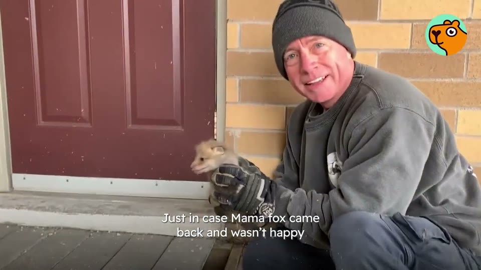 Video frame for Finding His Voice