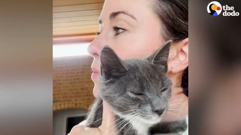 Runner Finds A Desperate Kitten On The Trail In Virginia And Gives Her The Perfect Second Chance