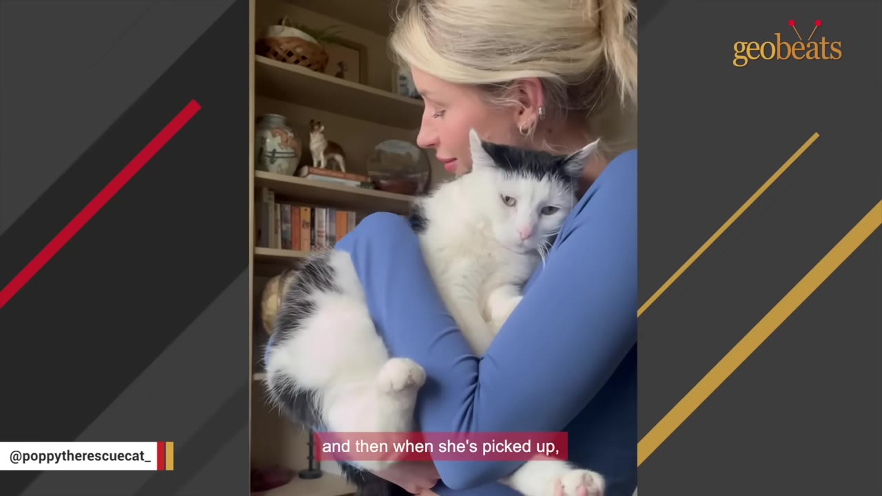 A woman in a blue shirt holds a fluffy black and white cat in her arms, showing the cat's healthy body.