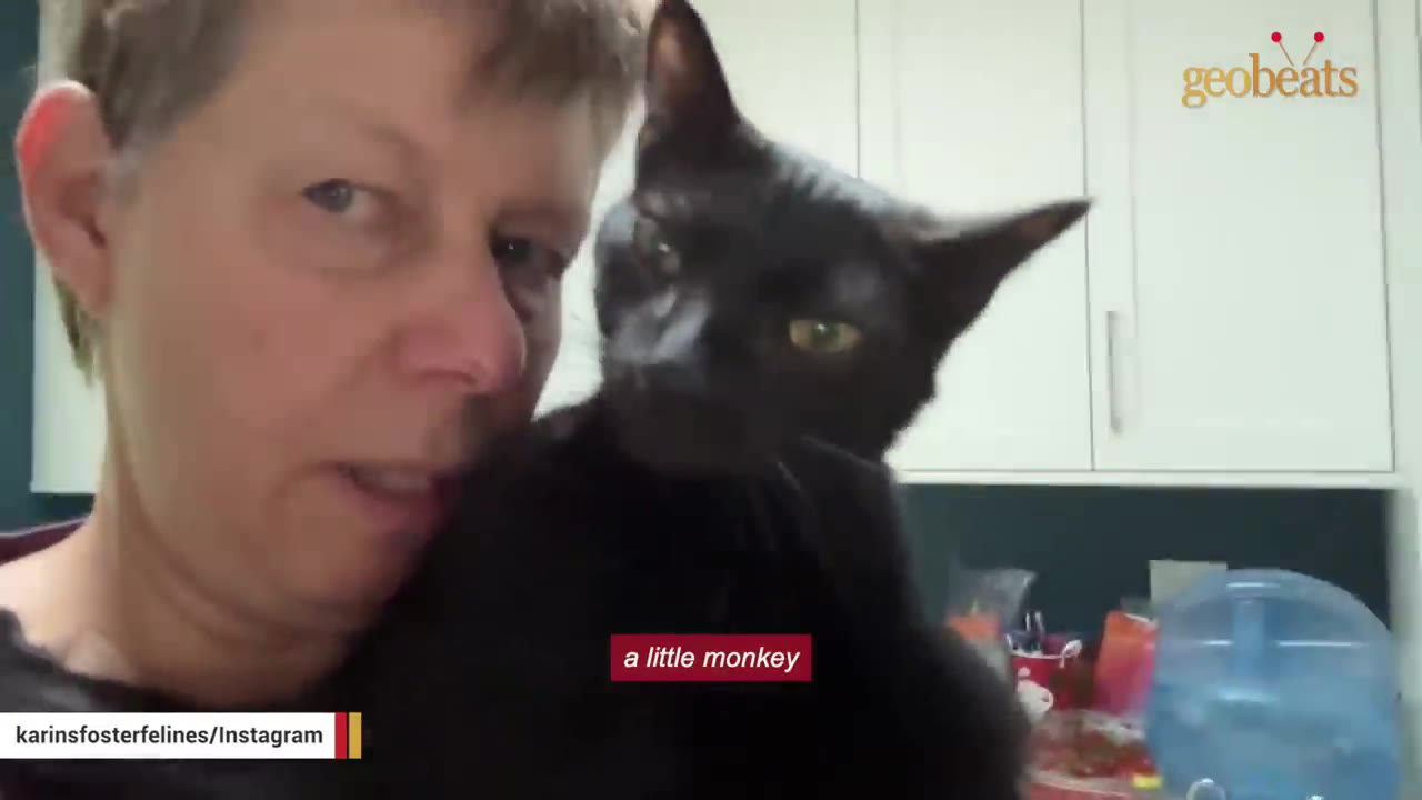 A close-up shot of a woman holding a sleek black kitten close to her face as they look towards the camera.
