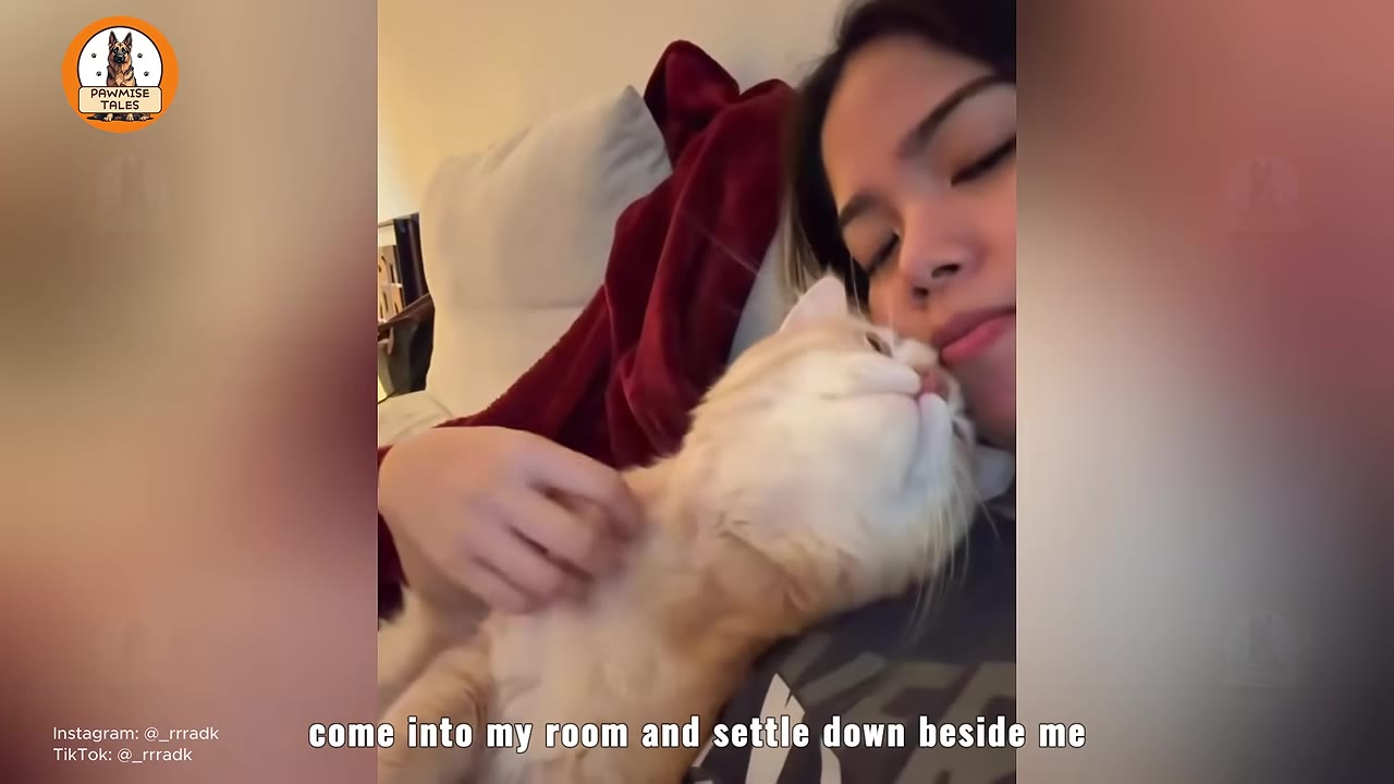 An orange cat snuggling close to a woman's face as she lies down, with her hand gently petting its chest.