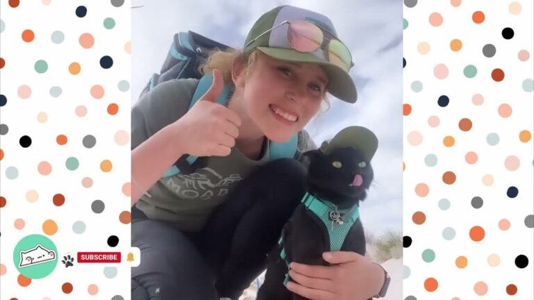 Kitten Found In Texas Park Changes His Adopter’s Life In The Most Unexpected Way