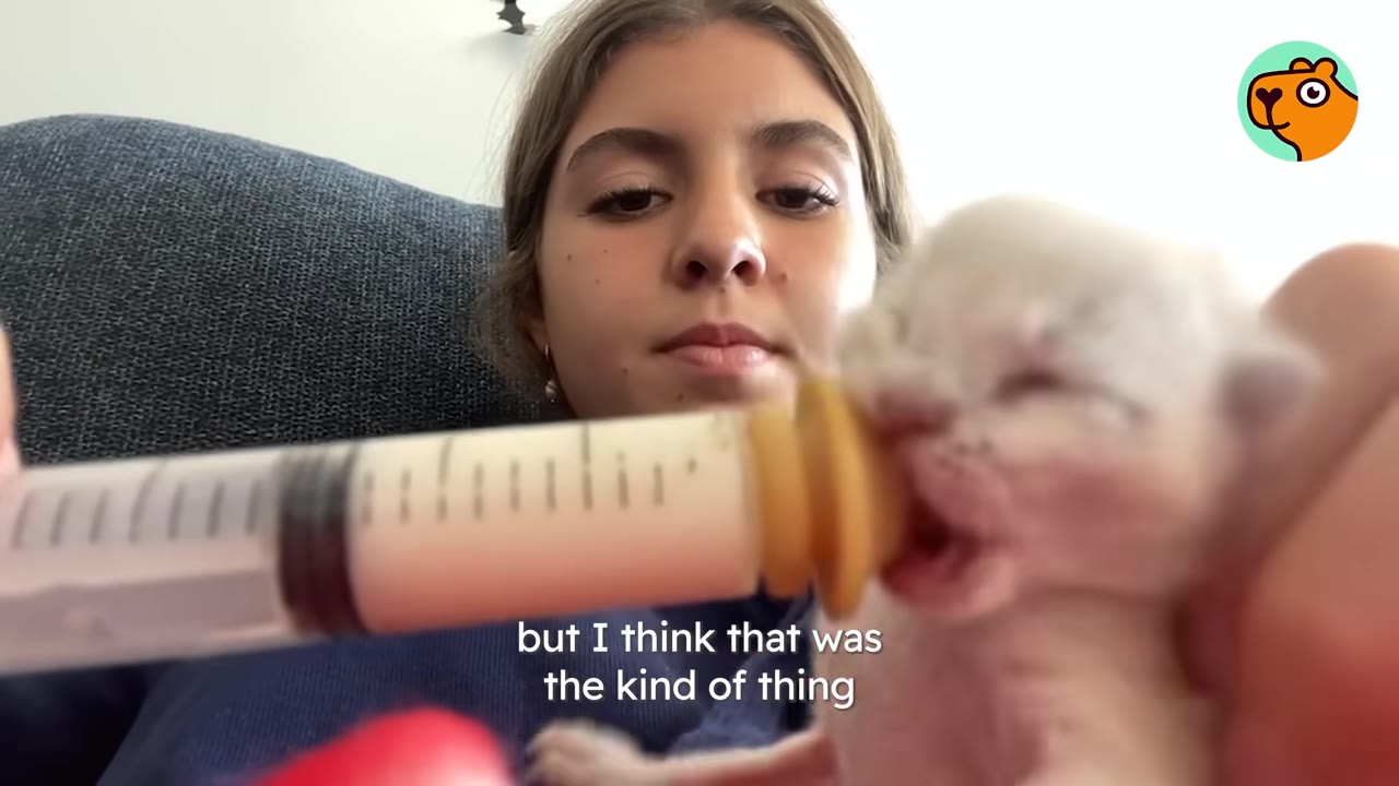 A young woman carefully feeds a tiny, white newborn kitten using a syringe with a yellow nipple attachment.
