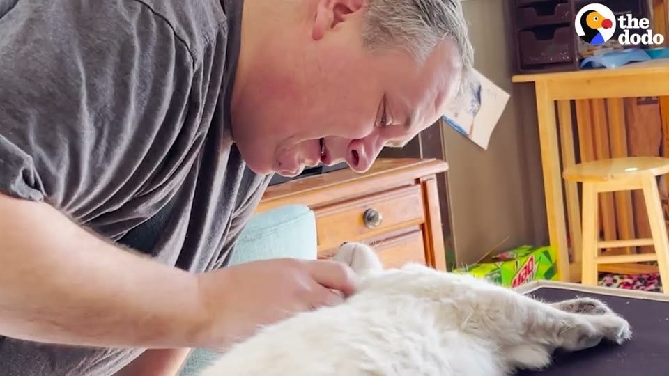 Video frame for Leaving The Cage Behind