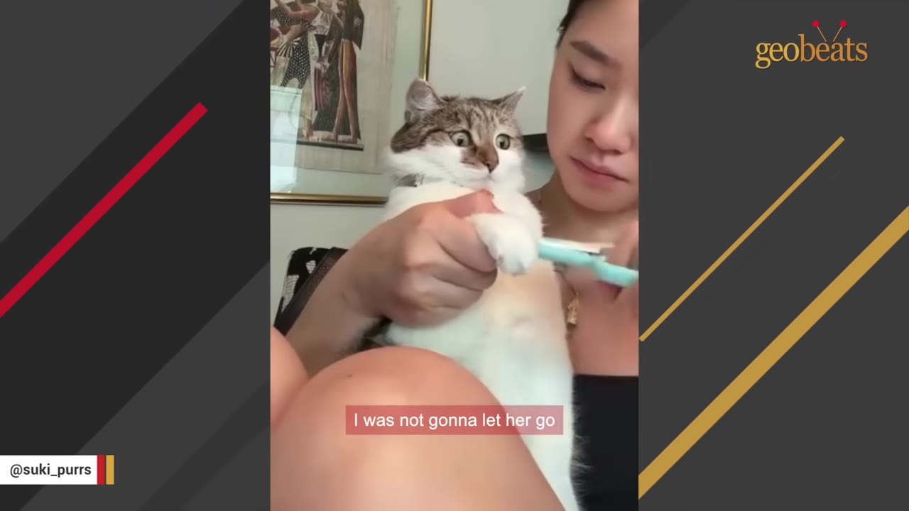 A young woman holds a white and brown tabby cat close to her chest, with a subtitle reading 'I was not gonna let her go'.