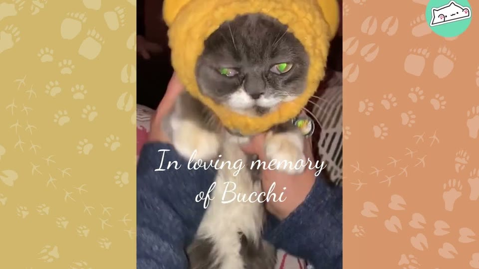 Video frame for Making Herself At Home