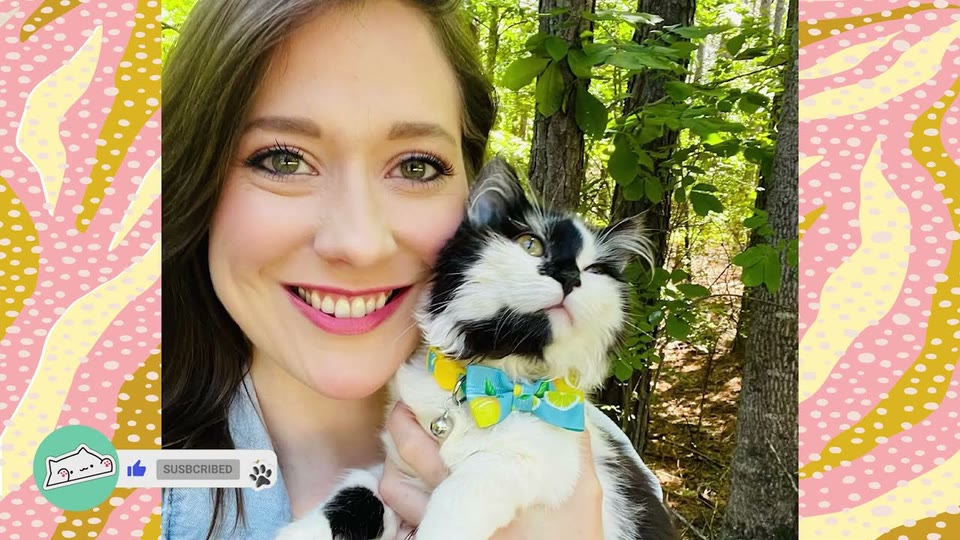Video frame for Making It Official