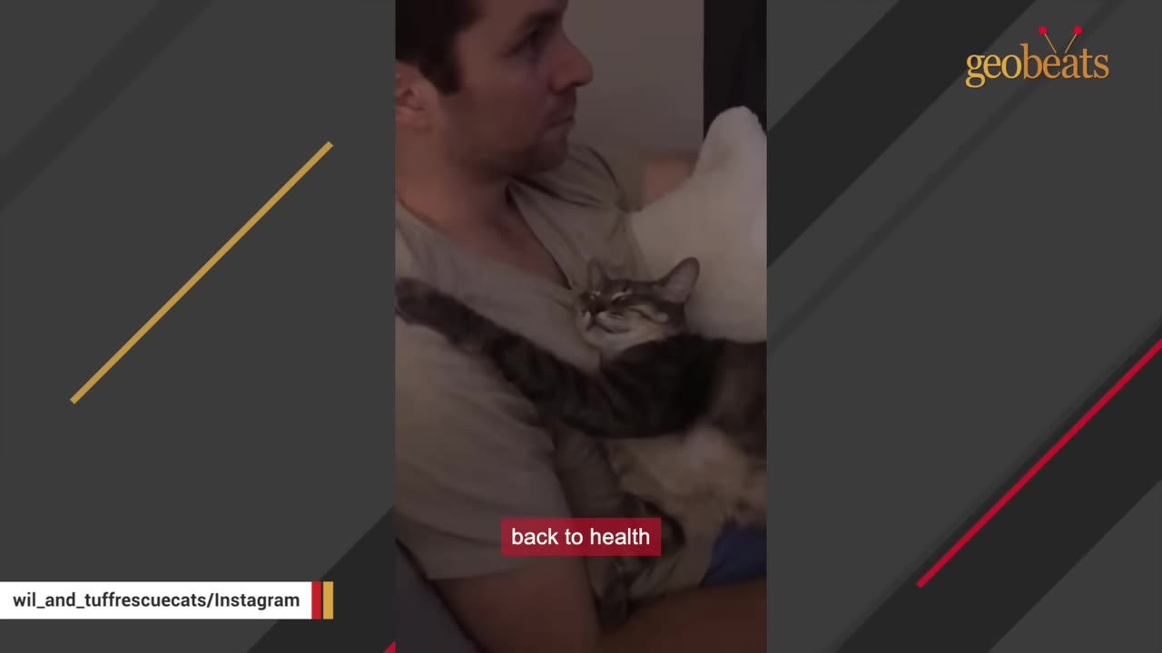 A man cradles a small tabby cat close to his chest as it rests peacefully, with a text overlay reading 'back to health'.