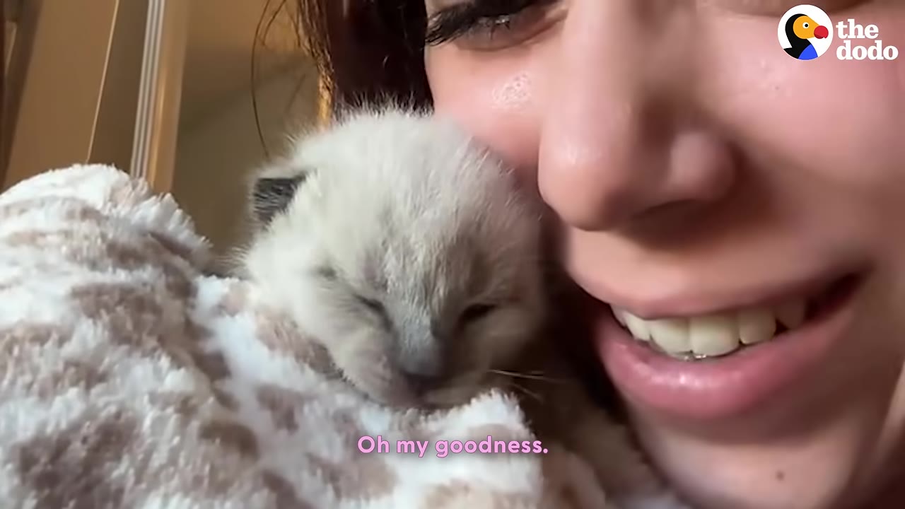 A close-up of a tiny, light-colored kitten snuggled against a woman's smiling face as she holds him in a soft, patterned blanket.