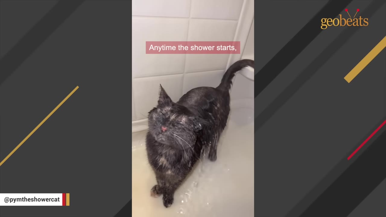 A wet dark-colored cat stands in a bathtub with water running over its head, squinting its eyes happily.