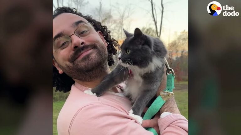 NY Man Finds A Matted Cat In The Backyard And Makes A Decision That Changes Both Their Lives