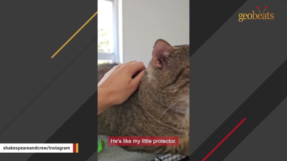 Video frame for Stepping Up For Rocky