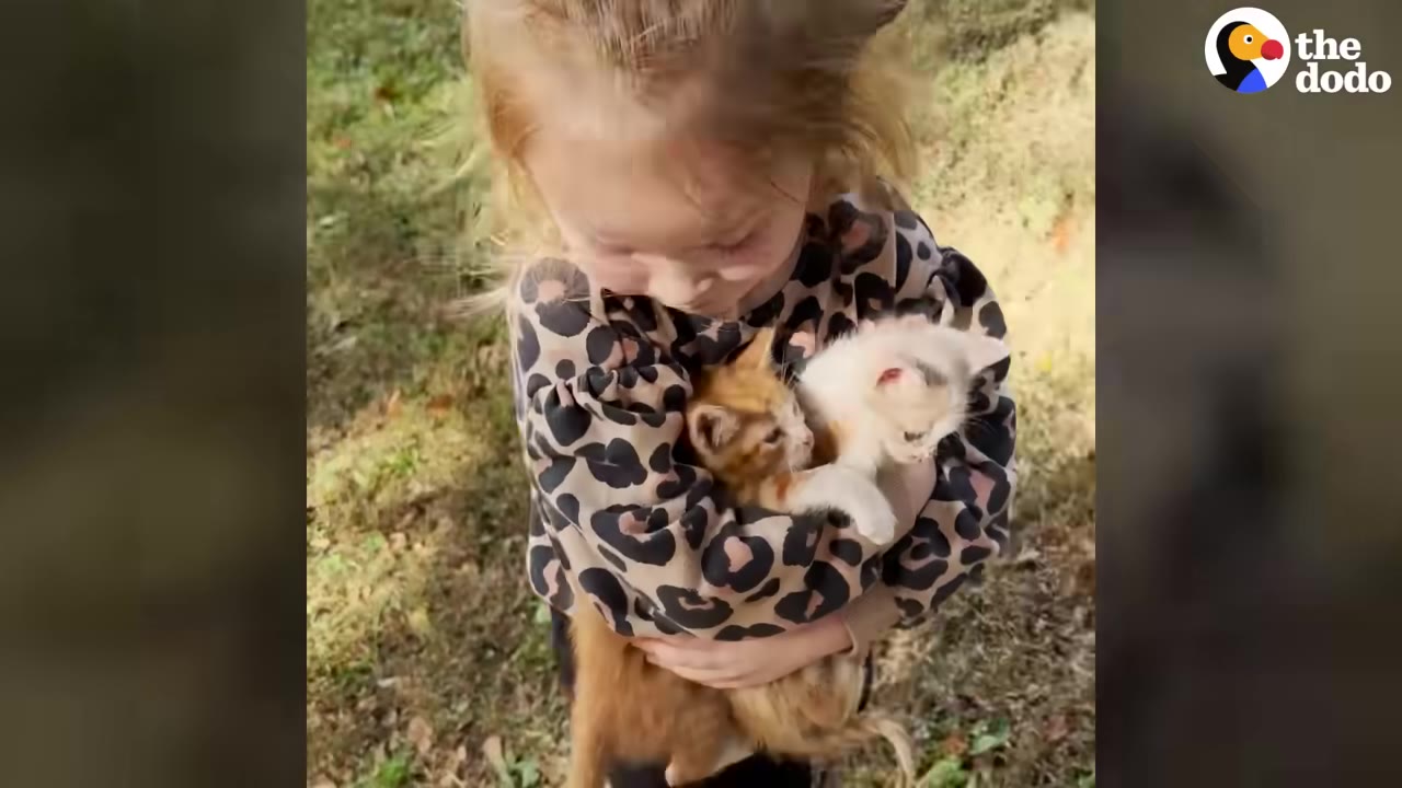 A young girl with blonde hair wearing a leopard print shirt gently cradles two small kittens, one orange and one white, in her arms outdoors.
