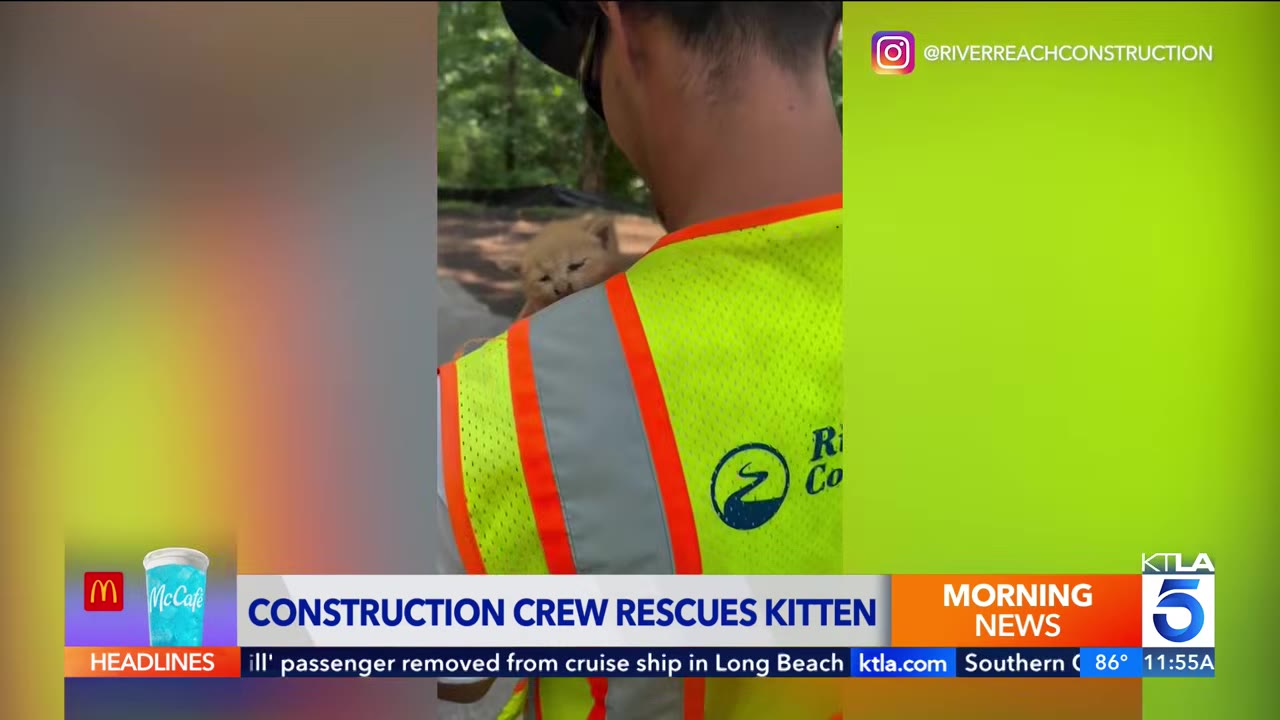 A construction worker wearing a high-visibility safety vest carries a small orange kitten on his shoulder while looking out toward a wooded area.