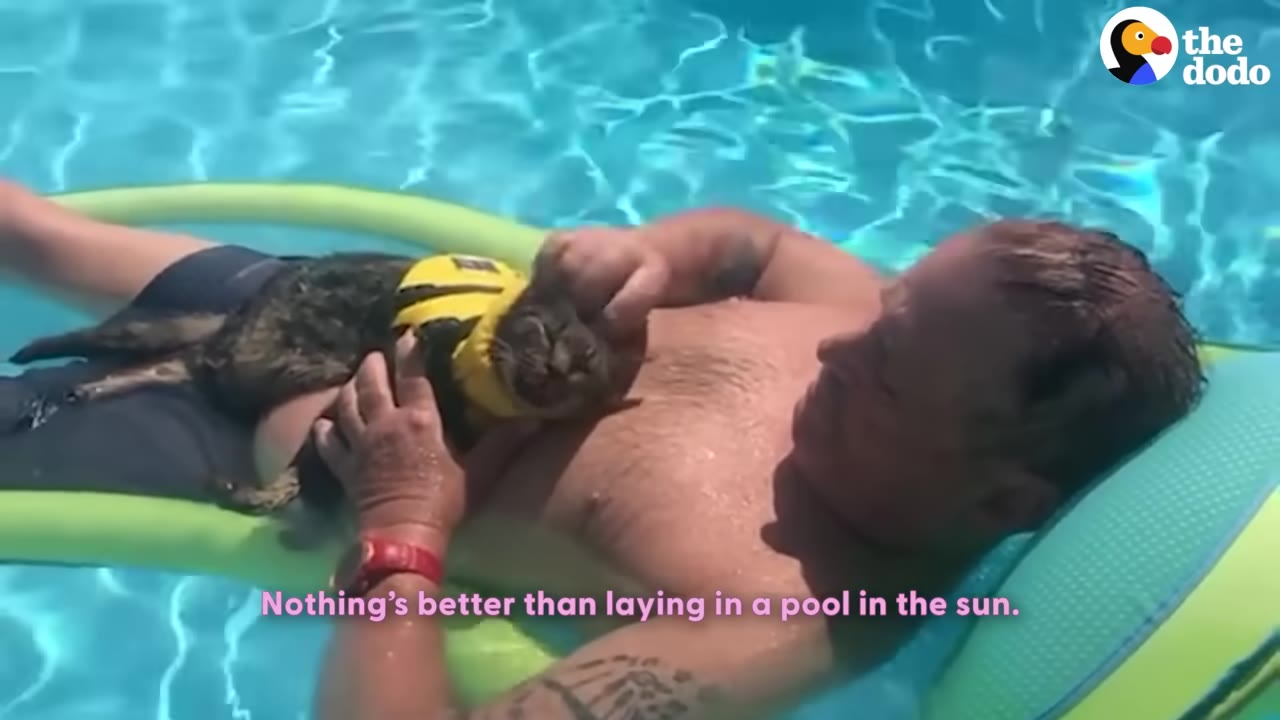 A man floats on a green pool raft in a sunny blue pool, holding a small cat wearing a yellow life vest on his chest.