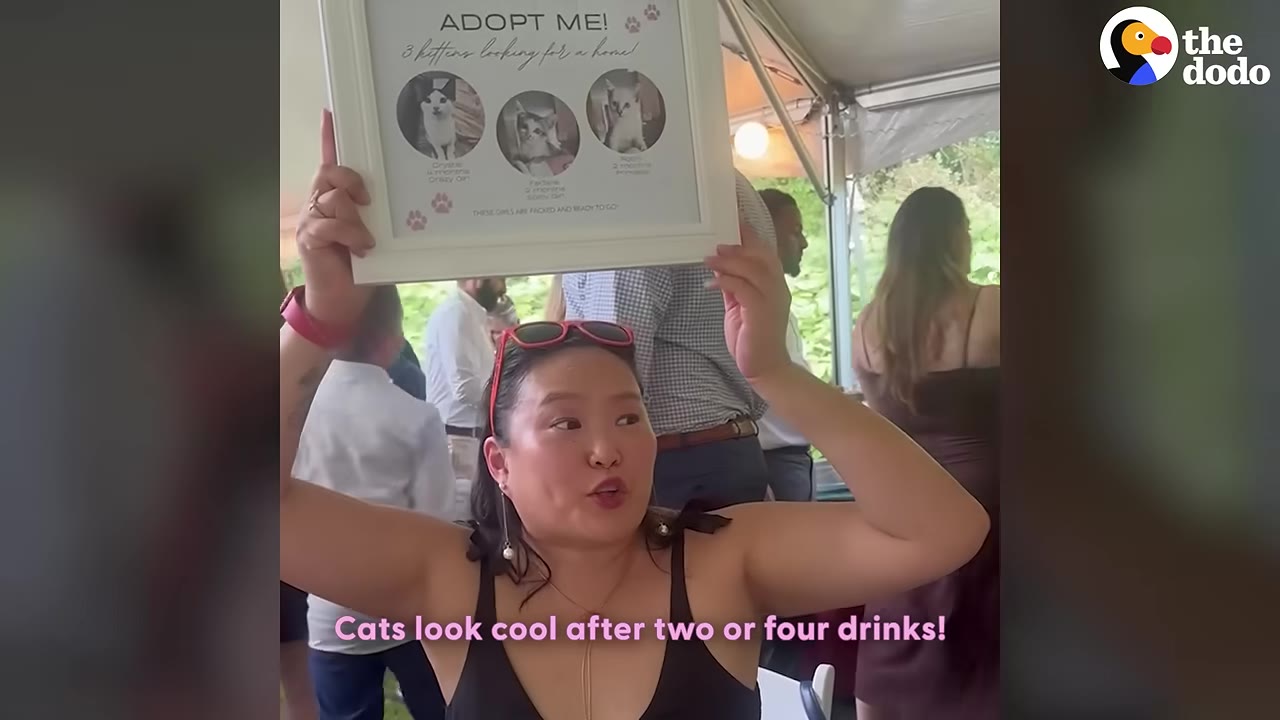 A woman at an outdoor wedding reception holds up a framed poster that reads 'ADOPT ME!' with photos of three kittens.