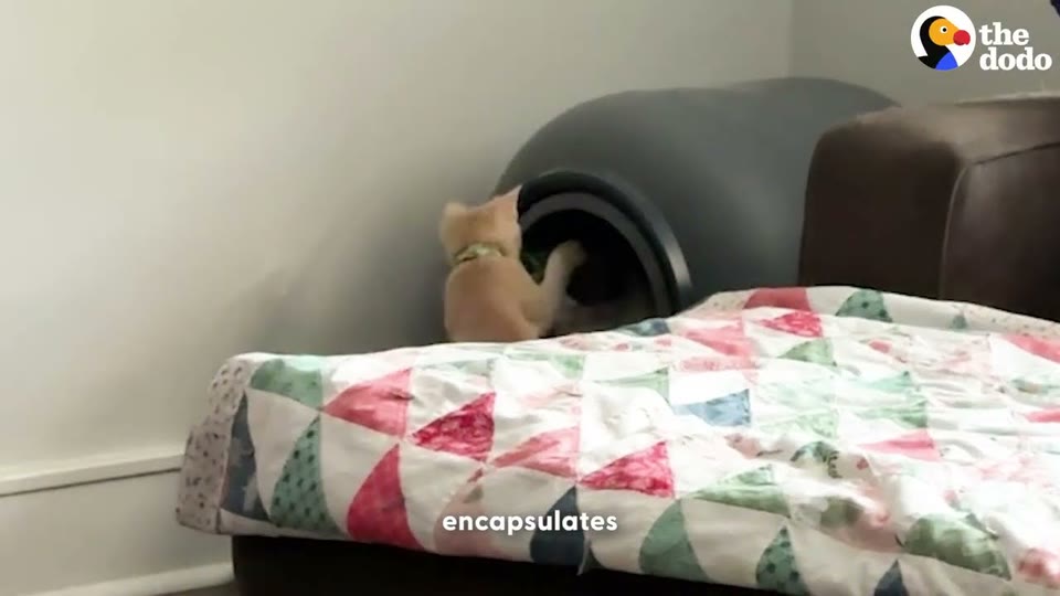 Video frame for The Boredom Problem