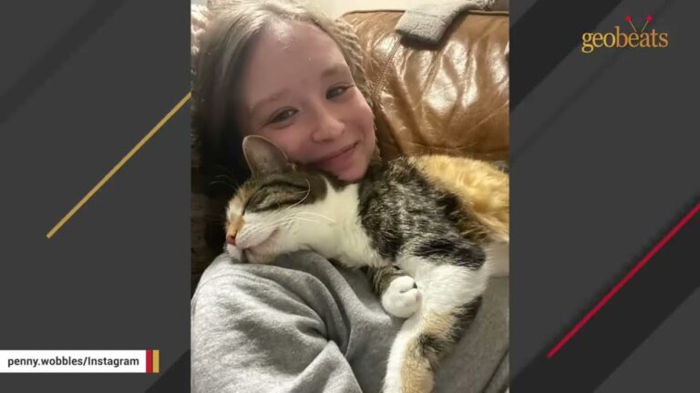Connecticut Vet Worker Brings Home A Wobbly Foster Cat And Discovers Her Perfect “Soul Cat”