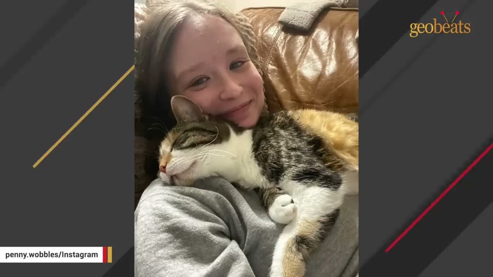 Video frame for The Daily Cuddle Routine
