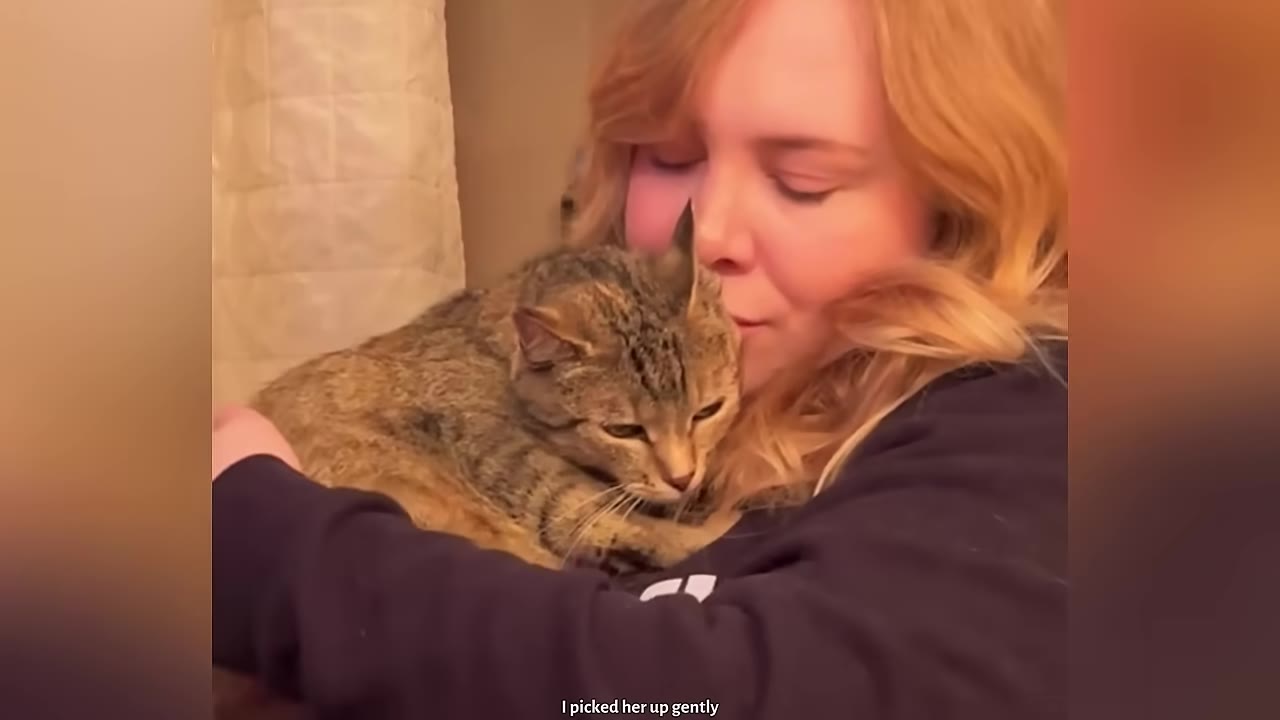 A woman with blonde hair gently holds a brown tabby cat close to her face.