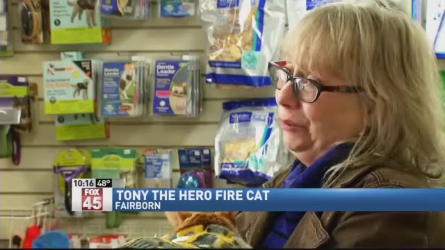 A close-up of a blonde woman wearing glasses and a brown jacket, looking down with a sad expression in a pet store.