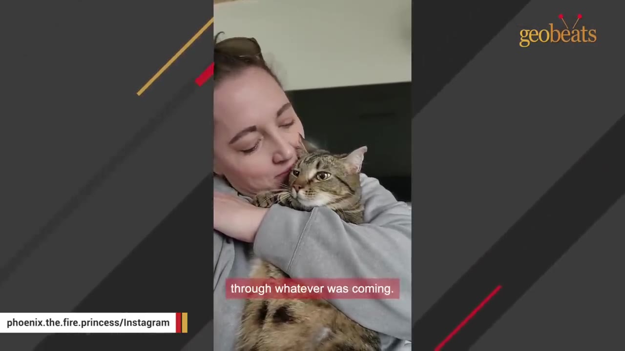 A woman in a grey sweatshirt tenderly hugs a brown tabby cat close to her chest.