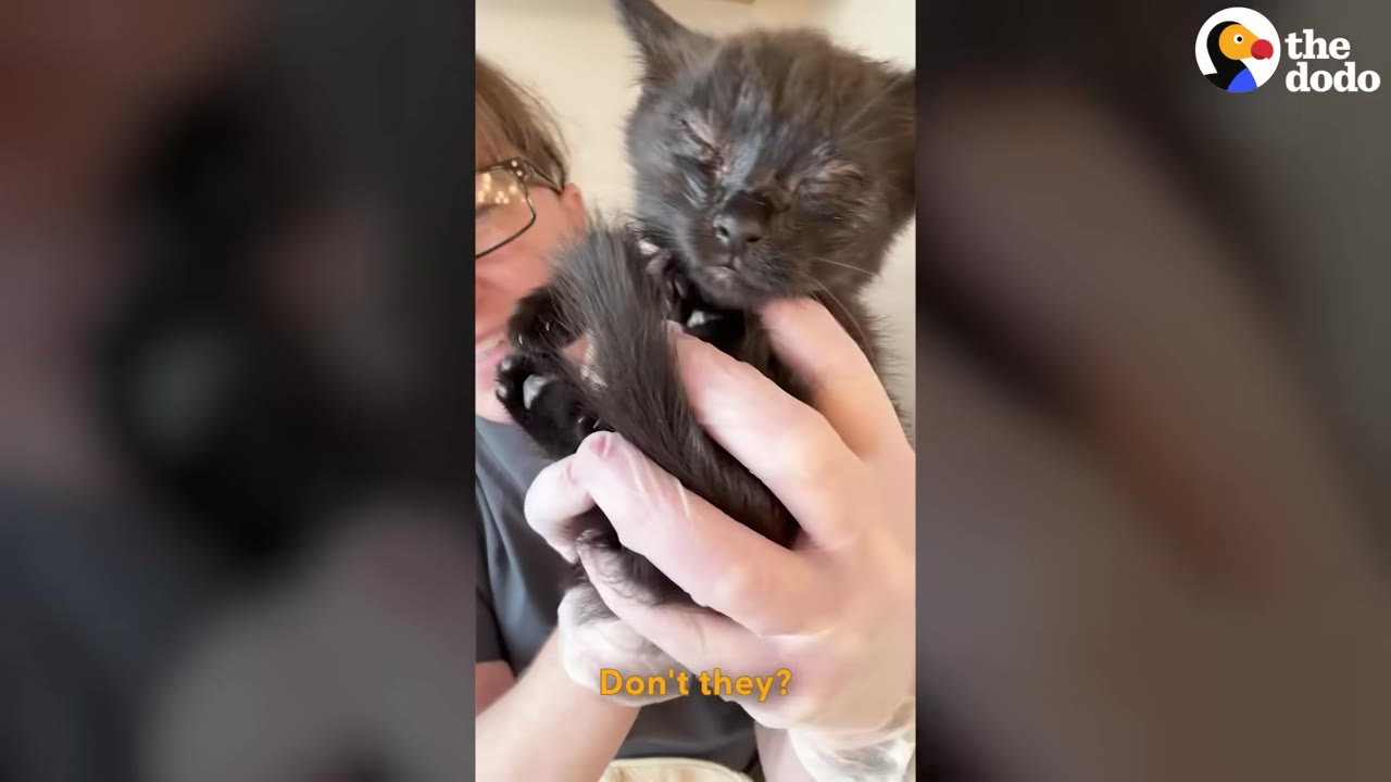 A veterinary professional wearing white gloves gently cradles a small black kitten with closed eyes.